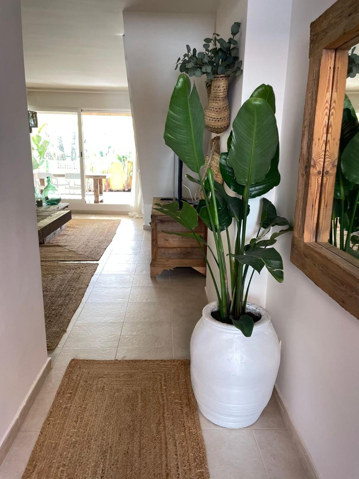 Alojamiento Arenal Park Javea Luaran gambar